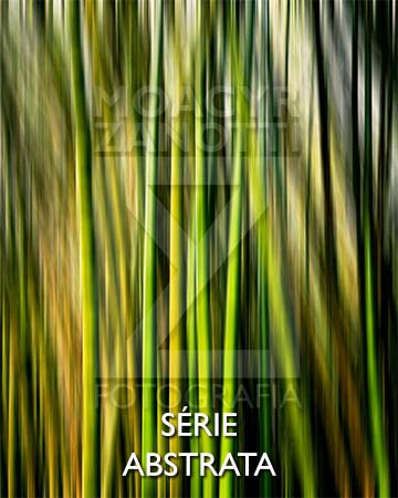 Série abstrata